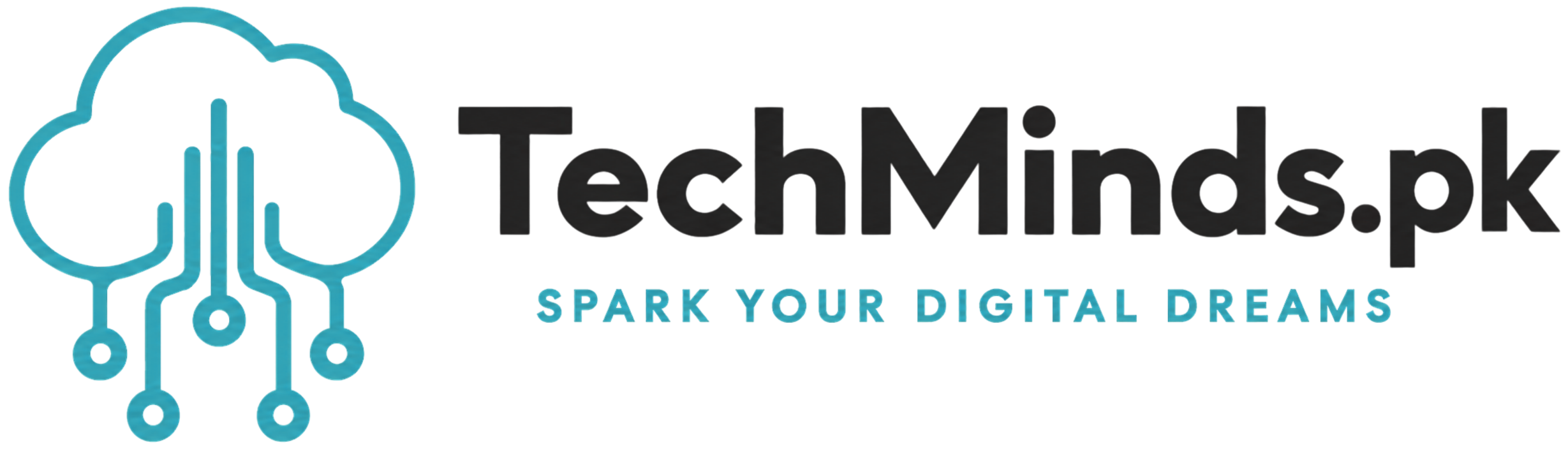 techminds.pk logo horizontal